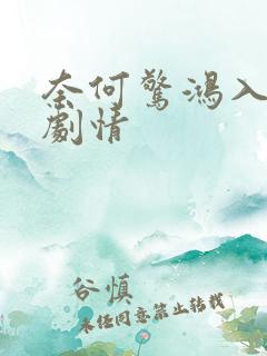 奈何惊鸿入我心剧情