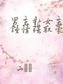 男主对女主一见钟情强取豪夺的小说