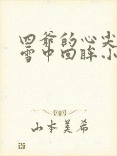 四爷的心尖宠妃雪中回眸小说