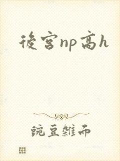 后宫np高h