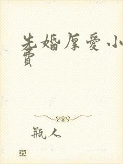 先婚厚爱小说免费