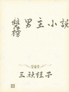 双男主小说排行榜