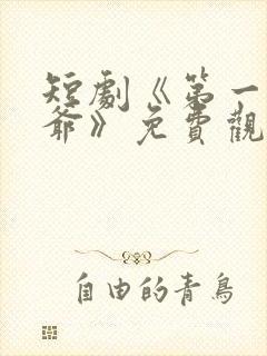 短剧《第一驸马爷》免费观看