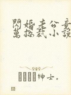 闪婚老公竟是亿万总裁小说小说