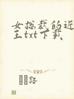 女总裁的近身兵王txt下载