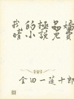 我的极品娇妻苏晴小说免费阅读