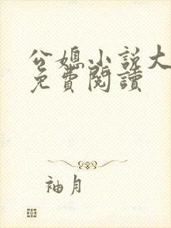 公媳小说大全套免费阅读