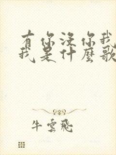 有你没你我都是我是什么歌