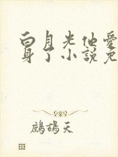 白月光他爱上替身了小说免费阅读