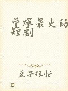 曾辉最火的十部短剧