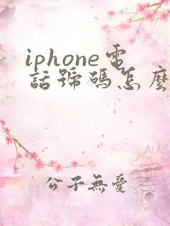 iphone电话号码怎么导入新手机