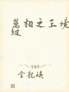 万相之王境界等级