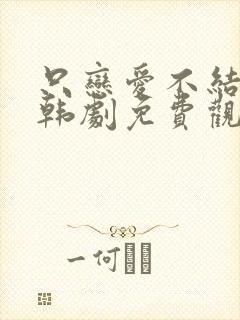 只恋爱不结婚 韩剧免费观看