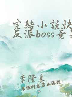 完结小说快穿:反派boss竟是我自己
