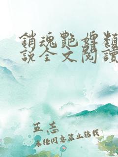 销魂艳婢类似小说全文阅读