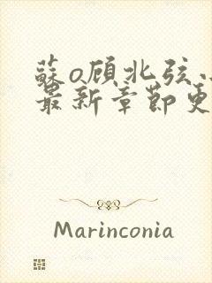 苏o顾北弦小说最新章节更新