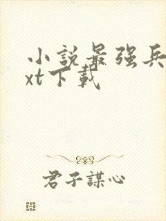 小说最强兵王txt下载