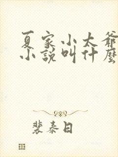 夏家小太爷原著小说叫什么名字