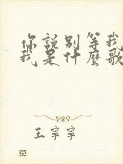 你说别等我别等我是什么歌