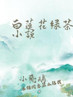 白莲花绿茶女主小说