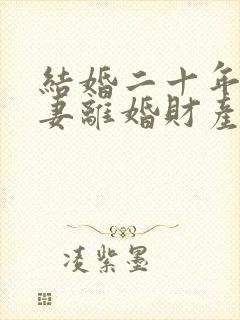 结婚二十年的夫妻离婚财产怎么分