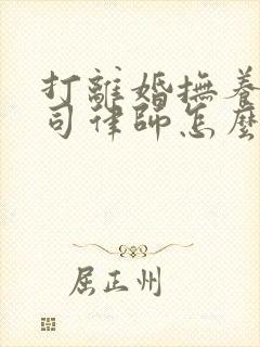 打离婚抚养权官司律师怎么收费