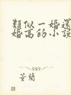 类似一婚还比一婚高的小说推荐