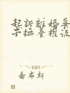 起诉离婚争夺孩子抚养权流程