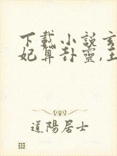 下载小说玄学王妃算卦灵,王爷越宠越上瘾