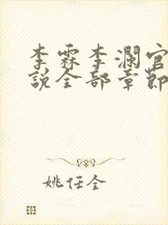 李霖李澜官场小说全部章节目录