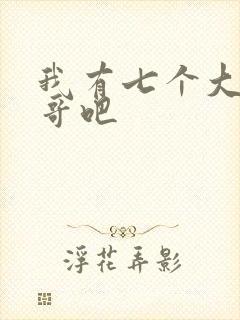 我有七个大佬哥哥吧