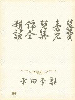 赵锦儿秦慕修小说全集免费阅读最新