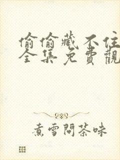 偷偷藏不住25全集免费观看