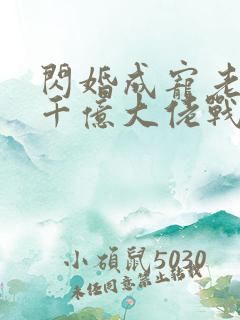 闪婚成宠老公是千亿大佬战胤海