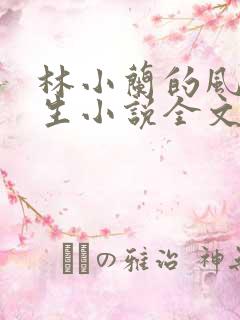 林小兰的风流人生小说全文免费