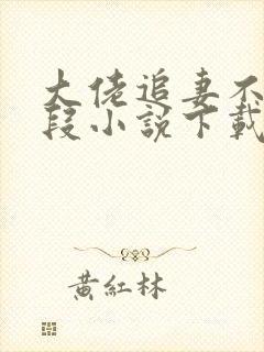 大佬追妻不择手段小说下载txt