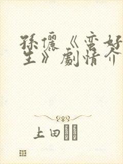 孙俪《蛮好的人生》剧情介绍