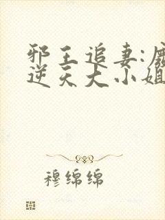 邪王追妻:废材逆天大小姐