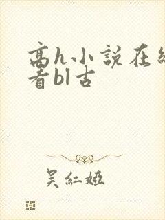高h小说在线观看bl古