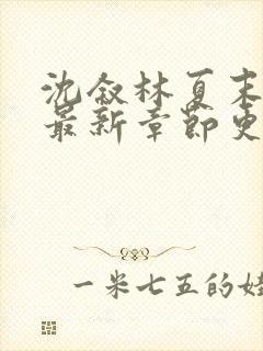 沈叙林夏末小说最新章节更新