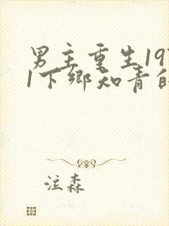 男主重生1971下乡知青的小说