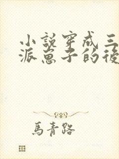 小说穿成三个反派崽子的后娘怎么办全集