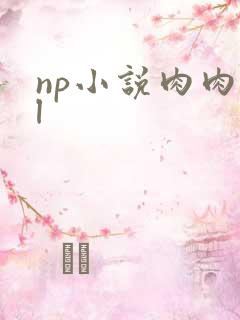 np小说肉肉bl