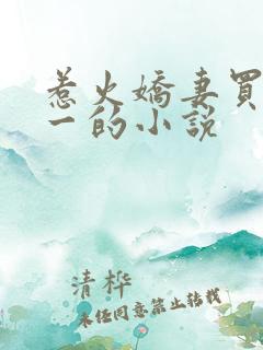惹火娇妻买一赠一的小说
