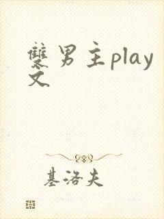 双男主play文