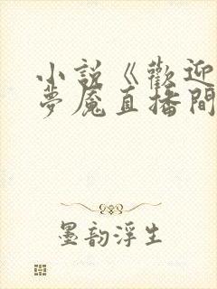 小说《欢迎进入梦魇直播间桑沃》