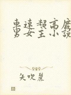 车速超高废文的男女主小说推荐