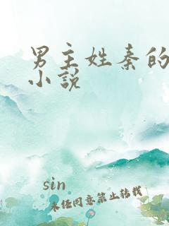 男主姓秦的现代小说