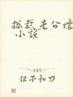 总裁老公坏又甜 小说