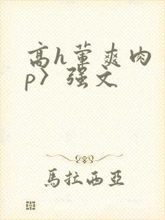 高h荤爽肉〈np〉强文